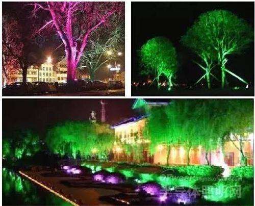 植物照明灯光跟普通的照明亮化灯光的区别